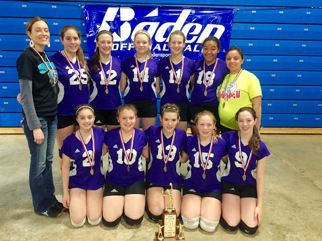 2015 Volleyball Class M 3rd Lebanon