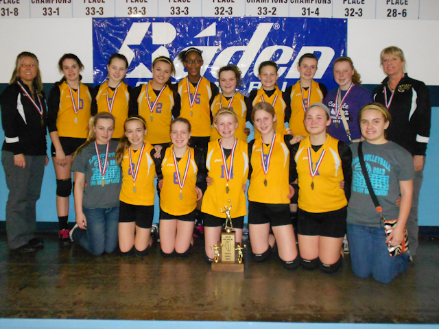 2013 Volleyball Class L 4th - Carlyle